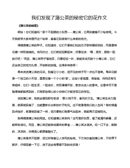 我们发现了蒲公英的秘密它的花作文