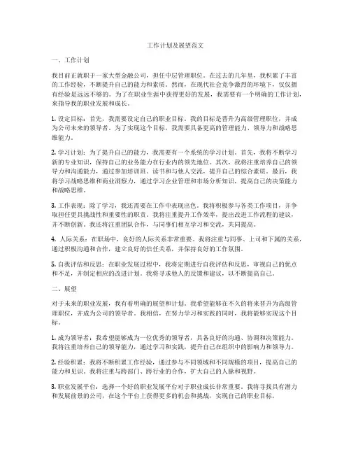 工作计划及展望范文