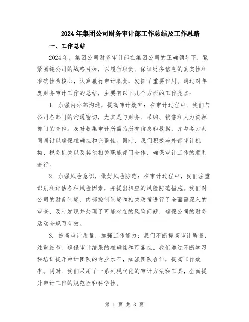 2024年集团公司财务审计部工作总结及工作思路