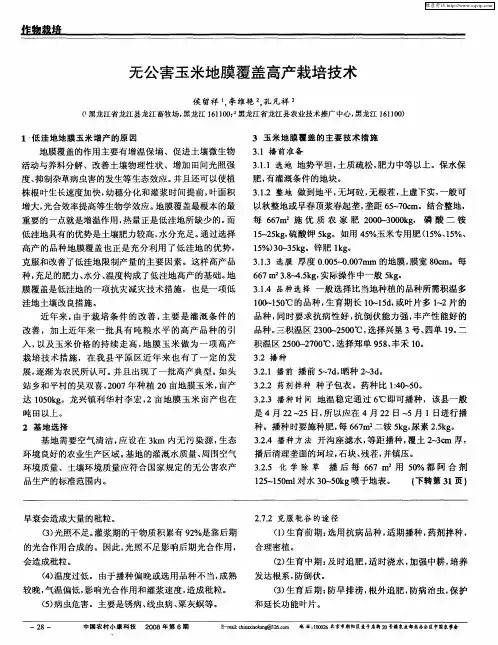 无公害玉米地膜覆盖高产栽培技术