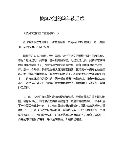 被风吹过的流年读后感