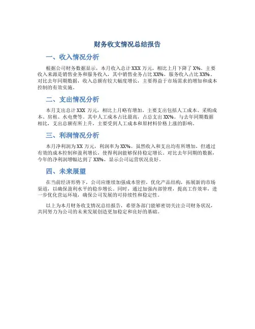 财务收支情况总结报告