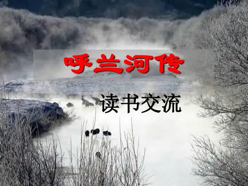 《呼兰河传》读书交流课