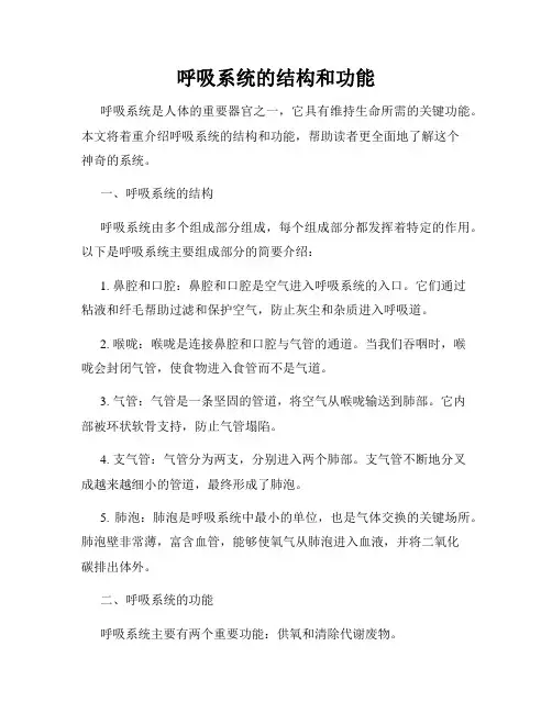 呼吸系统的结构和功能