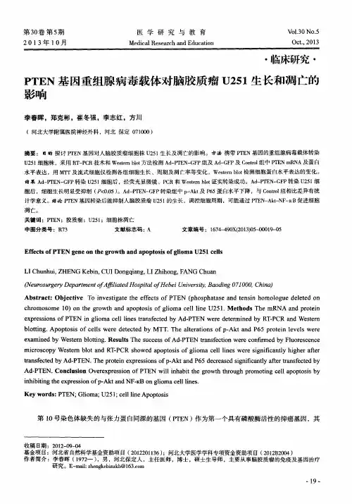 PTEN基因重组腺病毒载体对脑胶质瘤U251生长和凋亡的影响