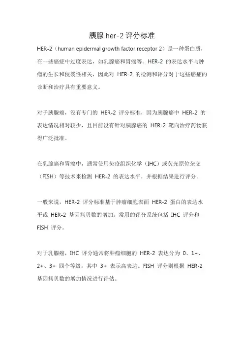 胰腺her-2评分标准