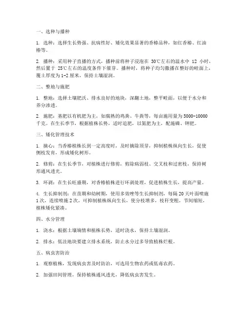 香椿种植矮化管理技术