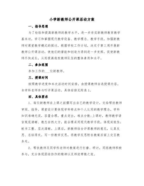 小学新教师公开课活动方案(3篇)
