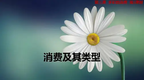 人教版高中政治必修1精品课件14：3.1 消费及其类型