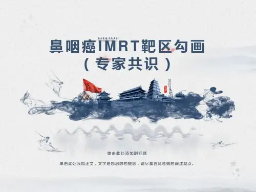 鼻咽癌IMRT靶区勾画专家共识