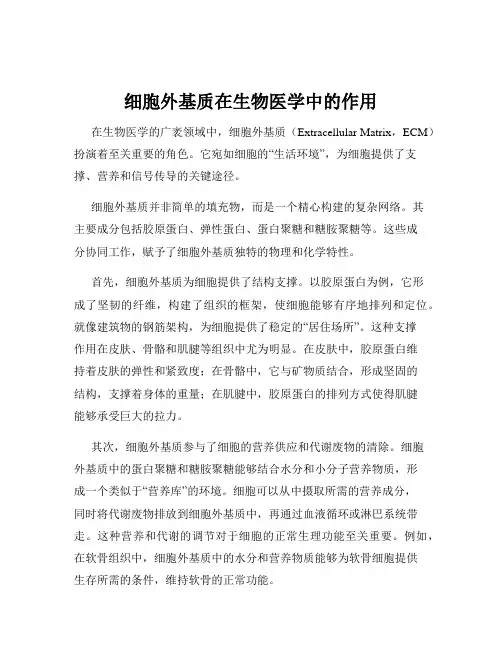 细胞外基质在生物医学中的作用