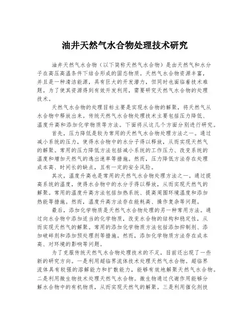 油井天然气水合物处理技术研究
