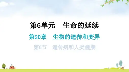 北师大版八年级生物上册第6单元第20章第6节遗传病和人类健康知识点课件
