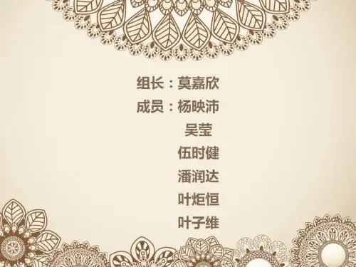 毛概ppt