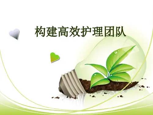 构建高效护理团队幻灯片课件