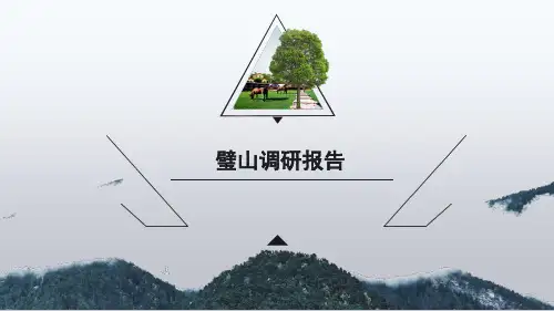 璧山调研报告