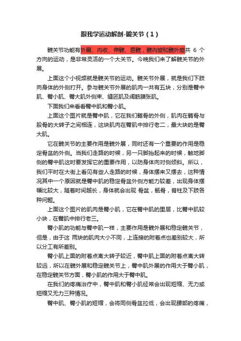 跟我学运动解剖-髋关节（1）