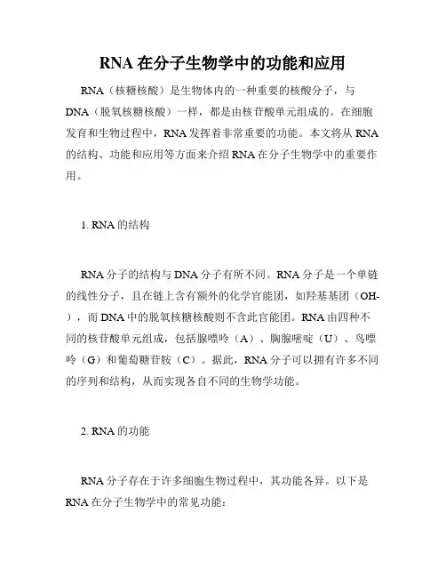 RNA在分子生物学中的功能和应用