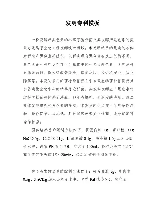 发明专利模板