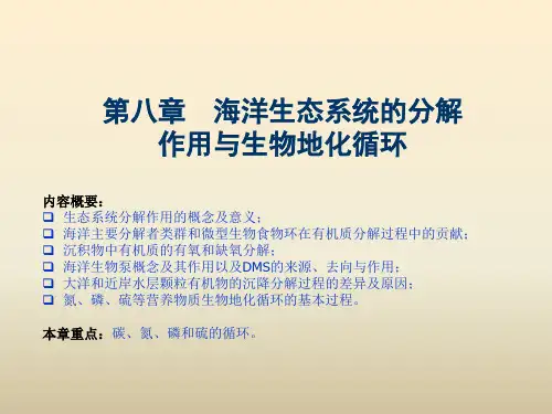 上海海洋大学海洋生态学 Chapter 008 海洋生态系统的分解作用与生物地化循环