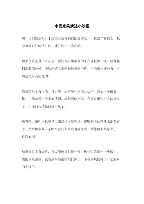 木质家具清洁小妙招