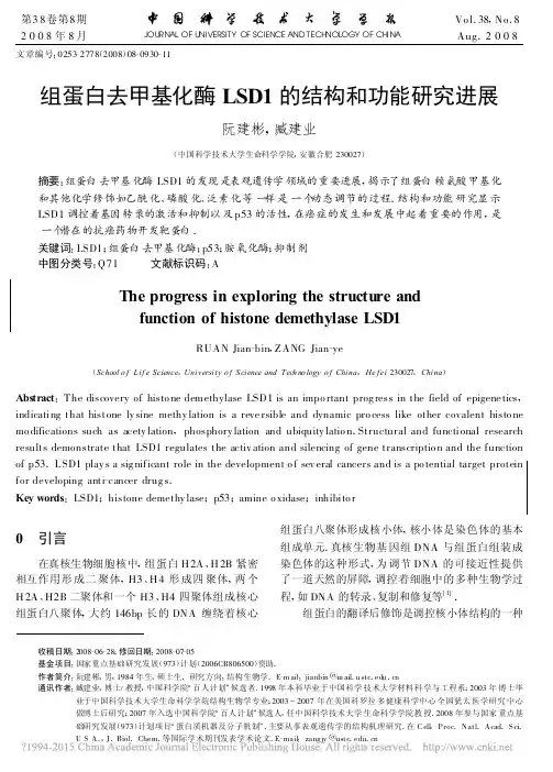 组蛋白去甲基化酶LSD1的结构和功能研究进展_阮建彬