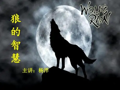 狼的十大处世准则熔炼团队增强团队意识