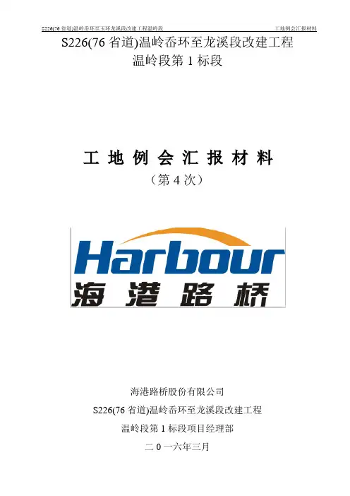 工地例会汇报材料(4)