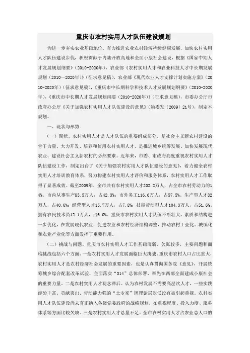重庆市农村实用人才队伍建设规划