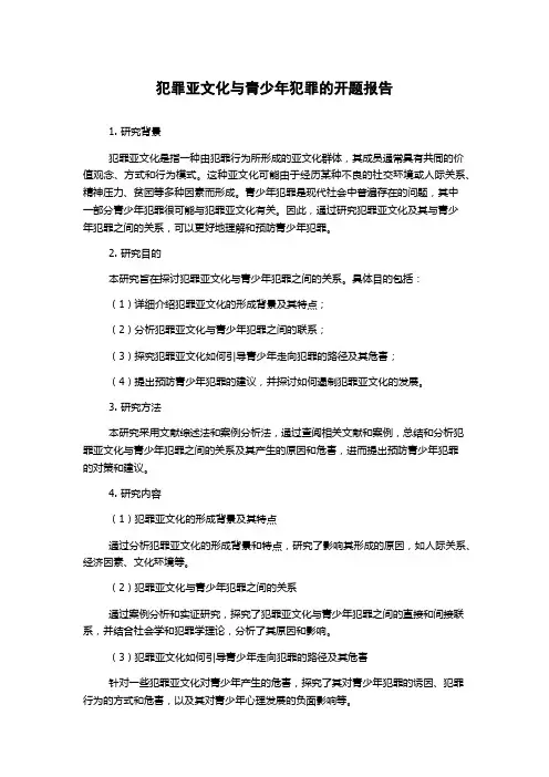 犯罪亚文化与青少年犯罪的开题报告