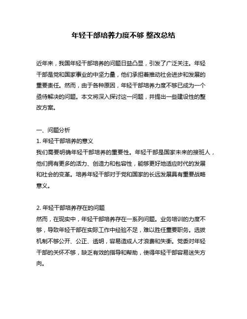 年轻干部培养力度不够 整改总结