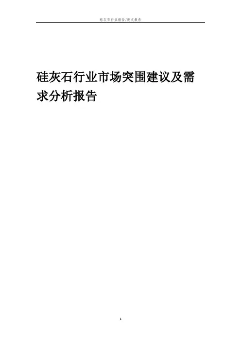 2023年硅灰石行业市场突围建议及需求分析报告