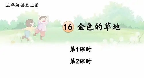 16 金色的草地课件及课后习题参考答案