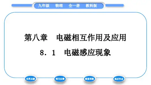 教科版九年级物理全册第八章电磁相互作用及应用8.1 电磁感应现象习题课件