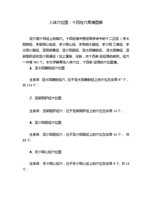 人体穴位图：十四经穴高清图解.docx