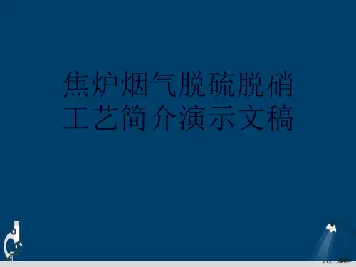 焦炉烟气脱硫脱硝工艺简介演示文稿