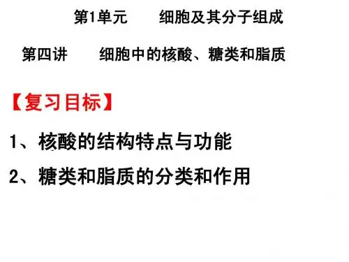 第1单元细胞及其分子组成    第四讲  细胞中的核酸、糖类和脂质