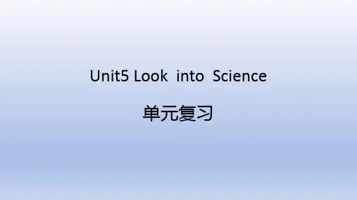 Unit5单元复习课件+2024-2025学年冀教版九年级英语全册+