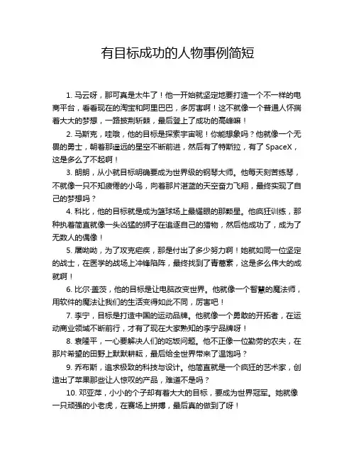 有目标成功的人物事例简短