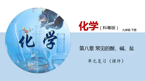 第八章 常见的酸、碱、盐 单元复习(课件)九年级化学下册(粤教版)