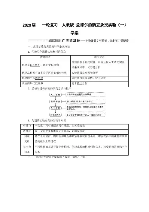 2020届高中生物一轮复习人教版孟德尔的豌豆杂交实验(一)学案