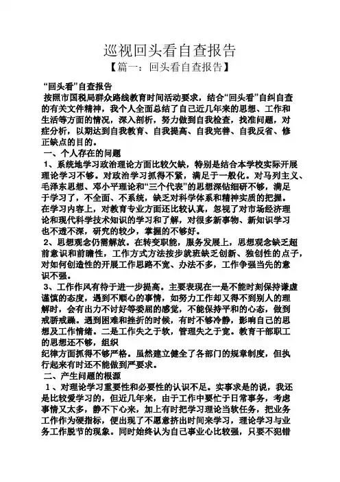 工作报告之巡视回头看自查报告