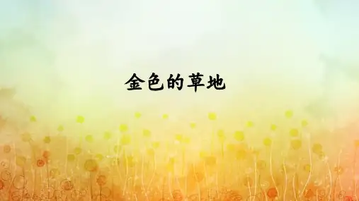 金色的草地ppt课件