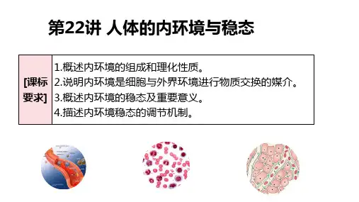 高三一轮复习生物人体的内环境与稳态课件