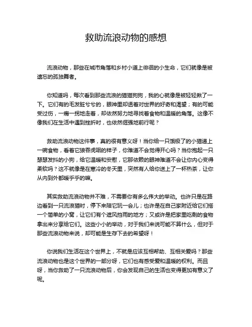 救助流浪动物的感想