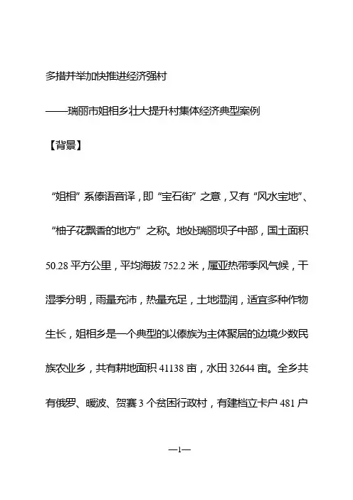 壮大提升村集体经济典型案例