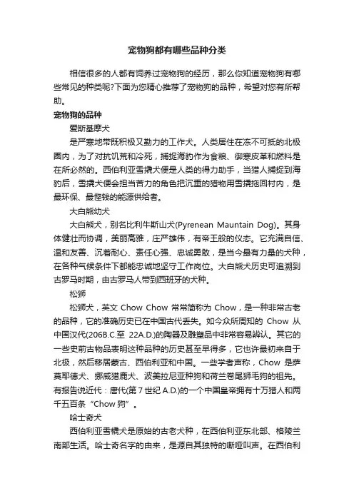 宠物狗都有哪些品种分类