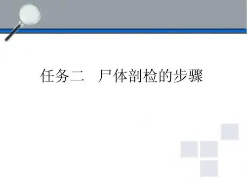 尸体剖检1-猪