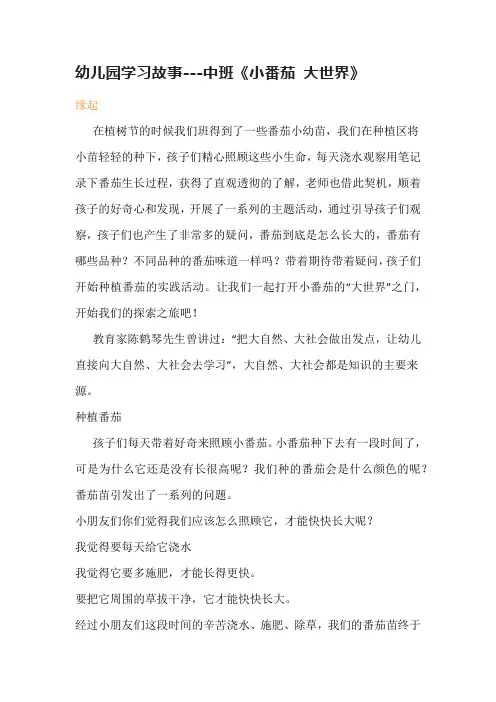 幼儿园学习故事---中班《小番茄-大世界》