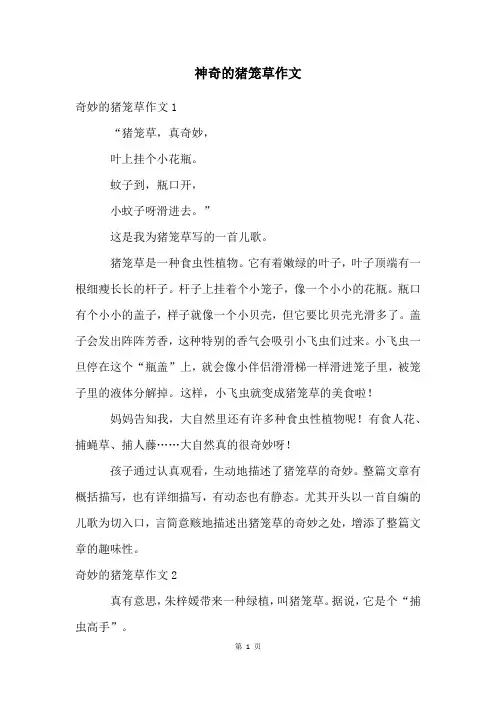 神奇的猪笼草作文